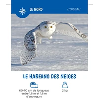 Les Animaux Du Québec