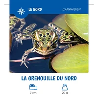 Les Animaux Du Québec
