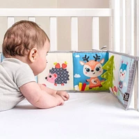 Livre D'activité Renard