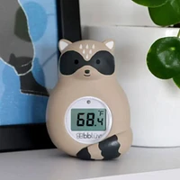 Thermomètre Bain Raku C/F