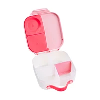 Mini Lunch Box - Flamingo Fizz