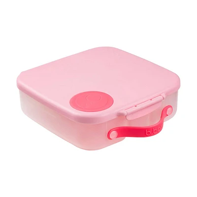 Lunch Box - Flamant Fizz