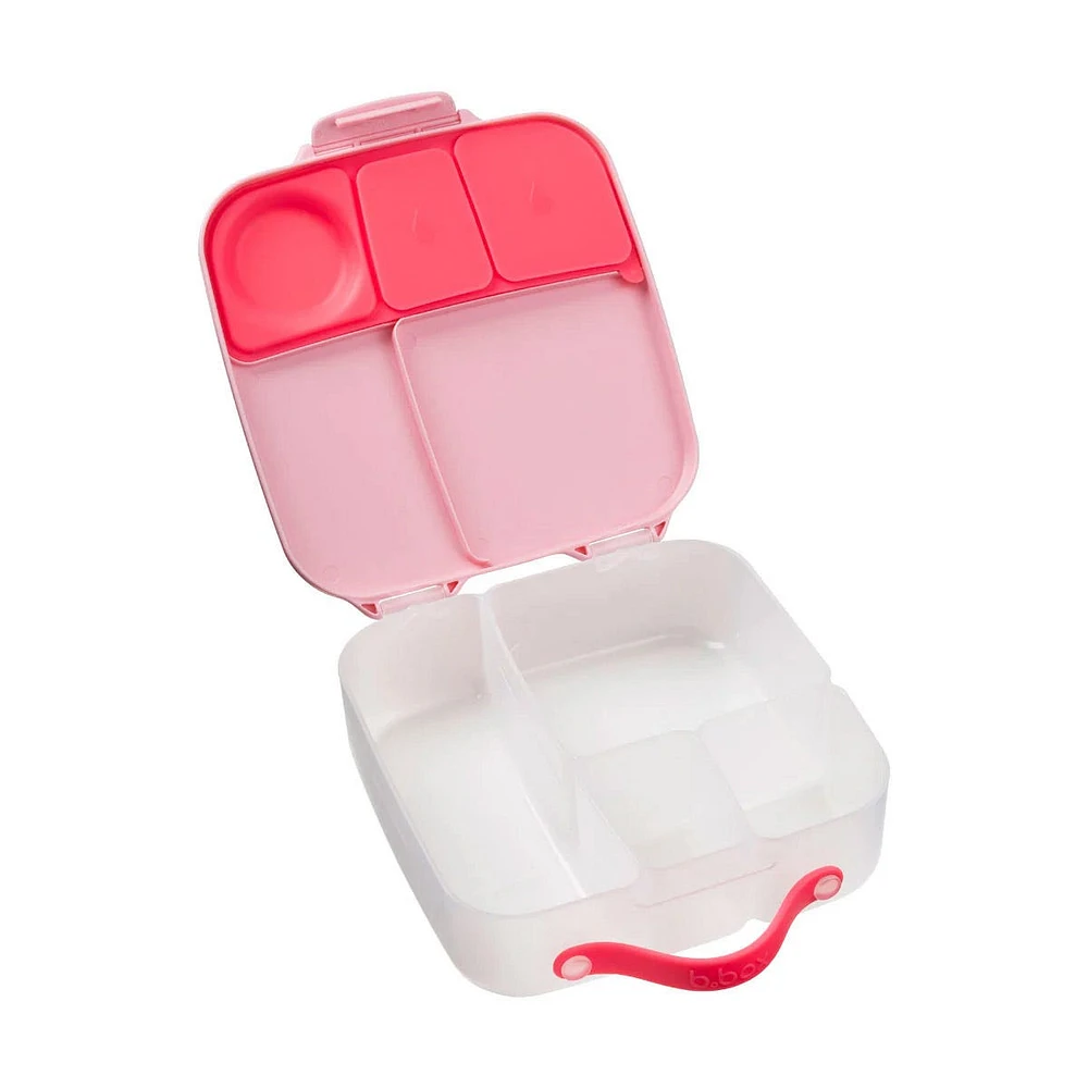 Lunch Box - Flamant Fizz