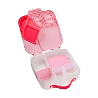 Lunch Box - Flamant Fizz