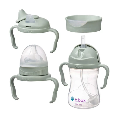 4in1 Cup Pack - Sage 