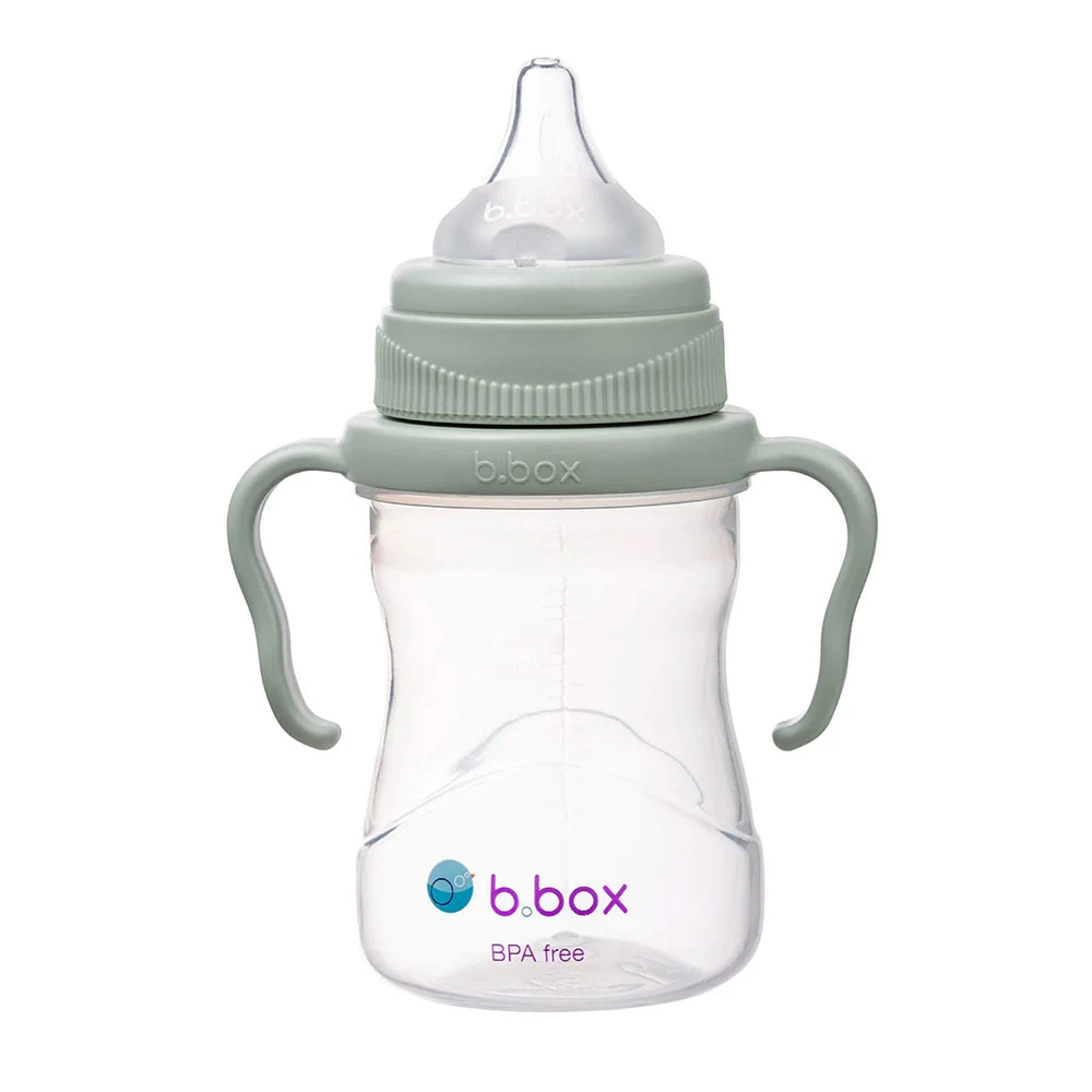 4in1 Cup Pack - Sage 