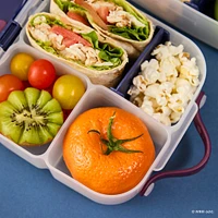 Lunch Box - Harry Potter