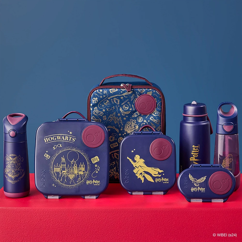 Insulated Drink Bottle 350ml - Harry Potter