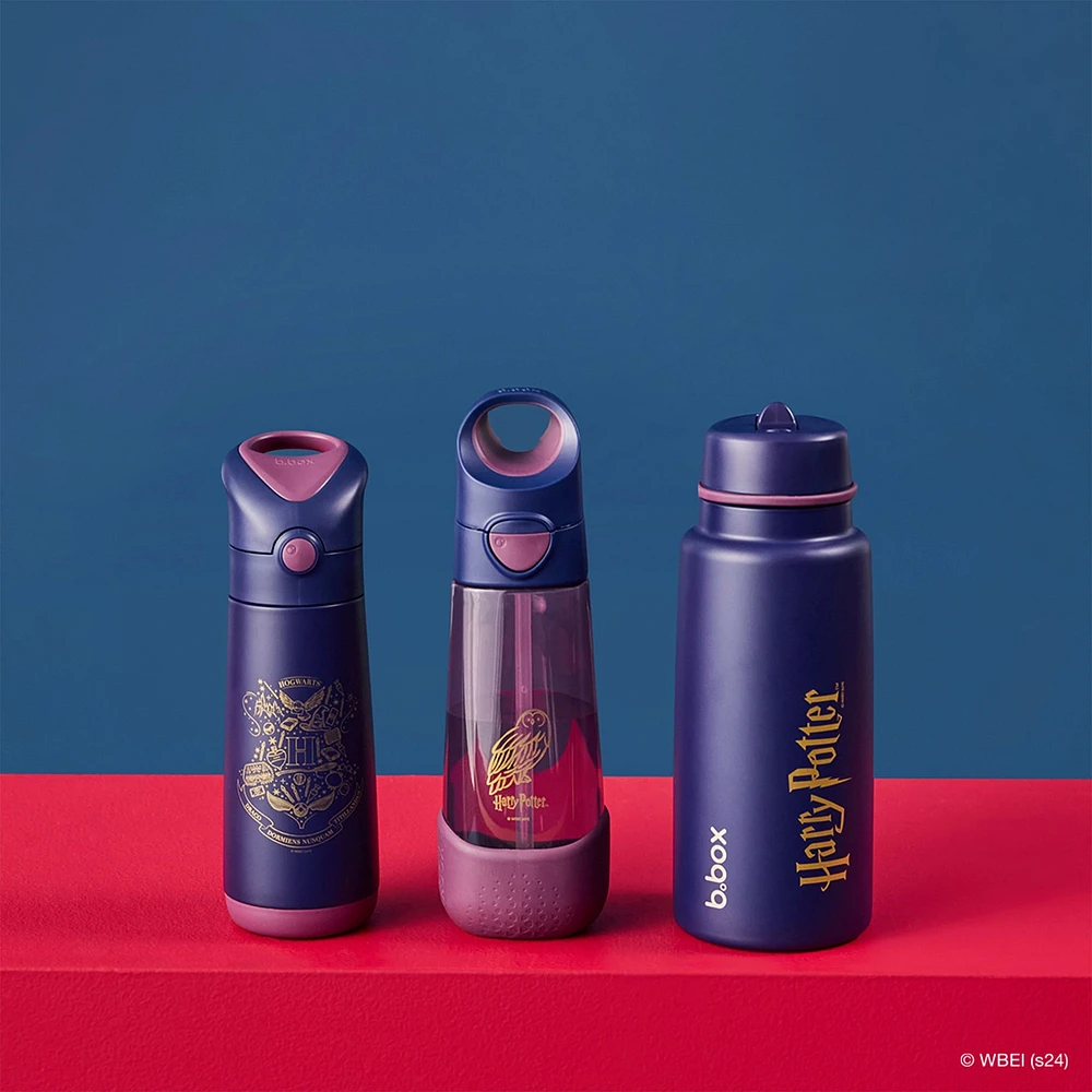 Insulated Drink Bottle 350ml - Harry Potter