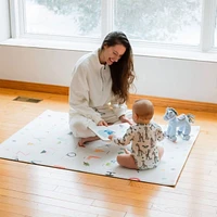 Small Playmat Reversible - Dinosaurs