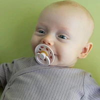 Pacifier Bibs0-6M(2)Bumblebee