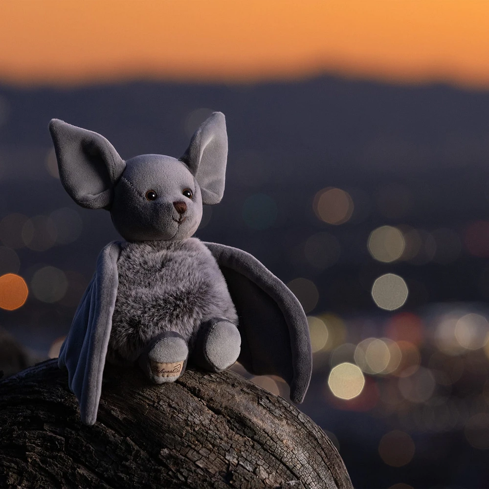 Chauve-Souris Baltazar