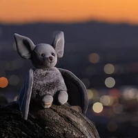 Chauve-Souris Baltazar