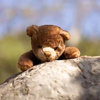 Ranger Bear