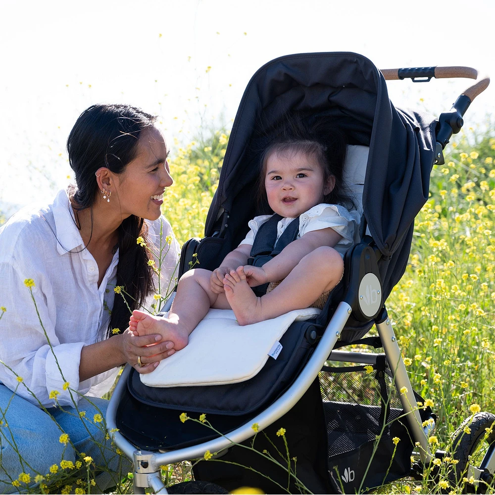 INDIE All-Terrain Stroller