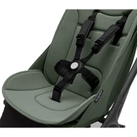 Butterfly Stroller - Forest Green