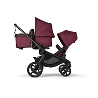 Sibling Seat Kangaroo Black/Cherry