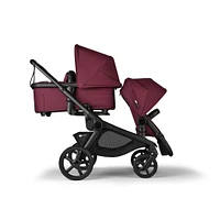 Sibling Seat Kangaroo Black/Cherry