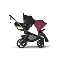 Sibling Seat Kangaroo Black/Cherry