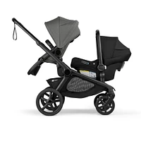 Kangaroo Sibling Seat  -  Black/Moon Grey