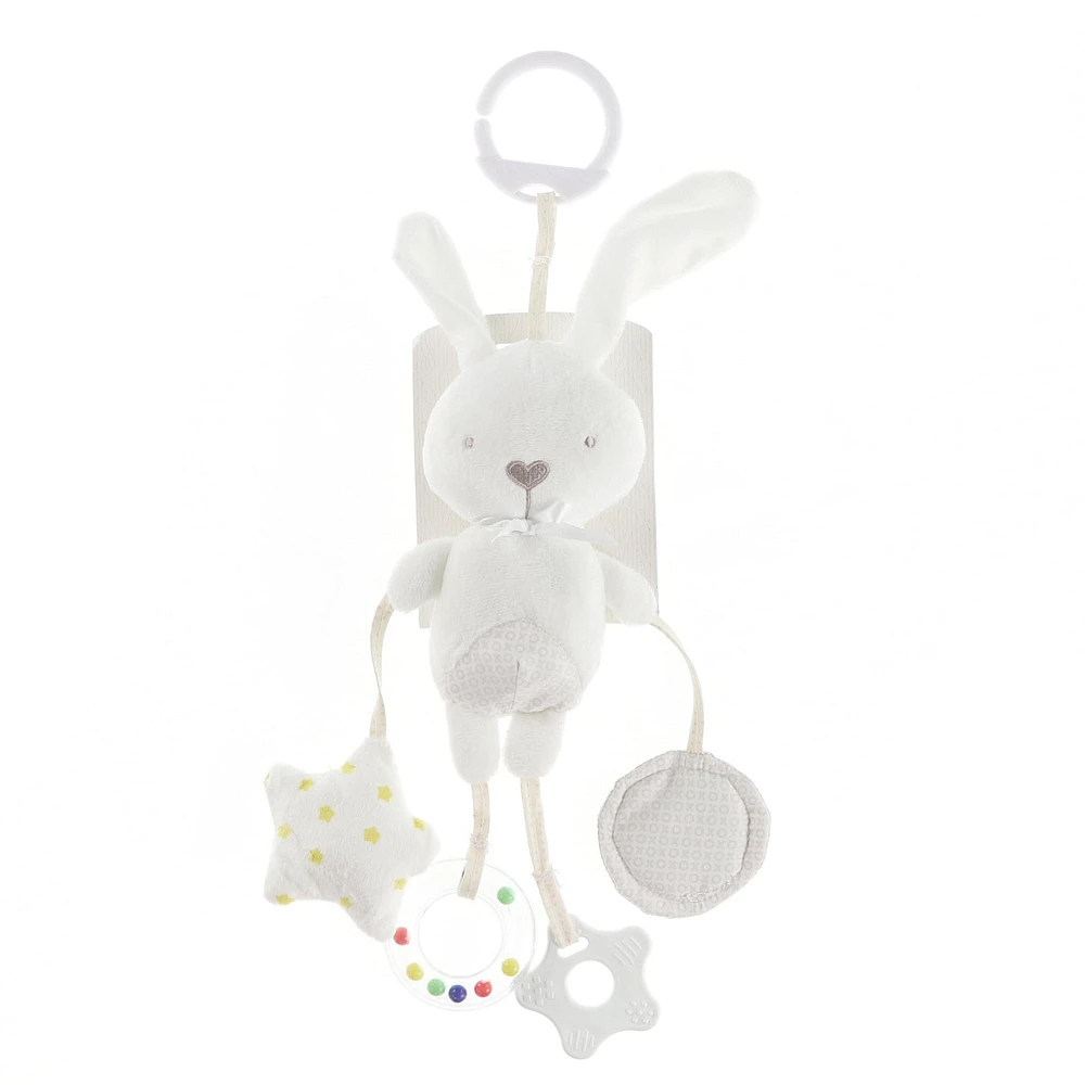 Lapin Blanc d'Activité