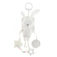 Lapin Blanc d'Activité