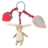 Rabbit Activity Ring