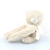 Blanket Plush Bear