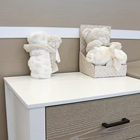 Blanket Plush Bear