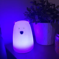 Ours Lumineux