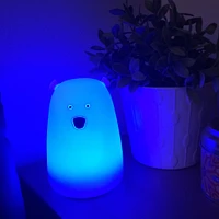 Ours Lumineux