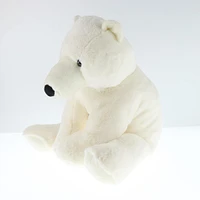 Ours Polaire