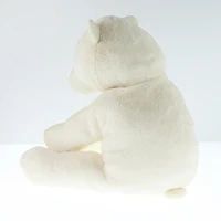 Ours Polaire