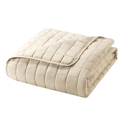 Twin Quilt Set