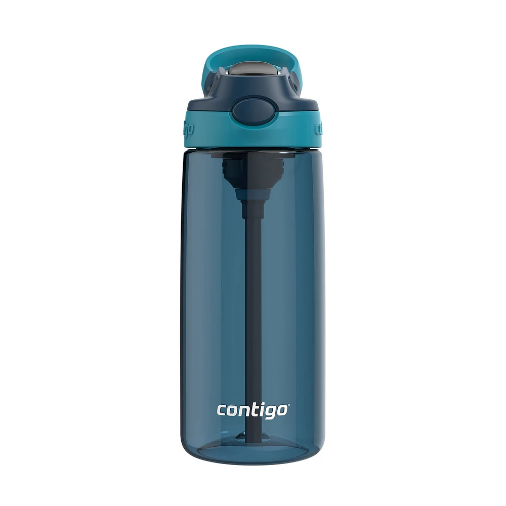 Aubrey Leak-Proof Spill-Proof Water Bottle - Blueberry & Juniper 20 oz