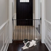 Safety Metal Expandable Gate