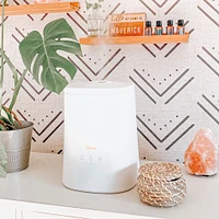 Humidificateur Ultrasonique à Vapeur Froide avec diffuseur d’arômes (1,2 gal.)