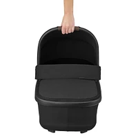 Nacelle Oria Lila / Lila CP - Noir