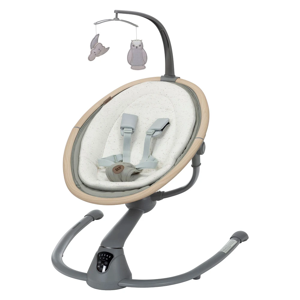 Cassia Swing