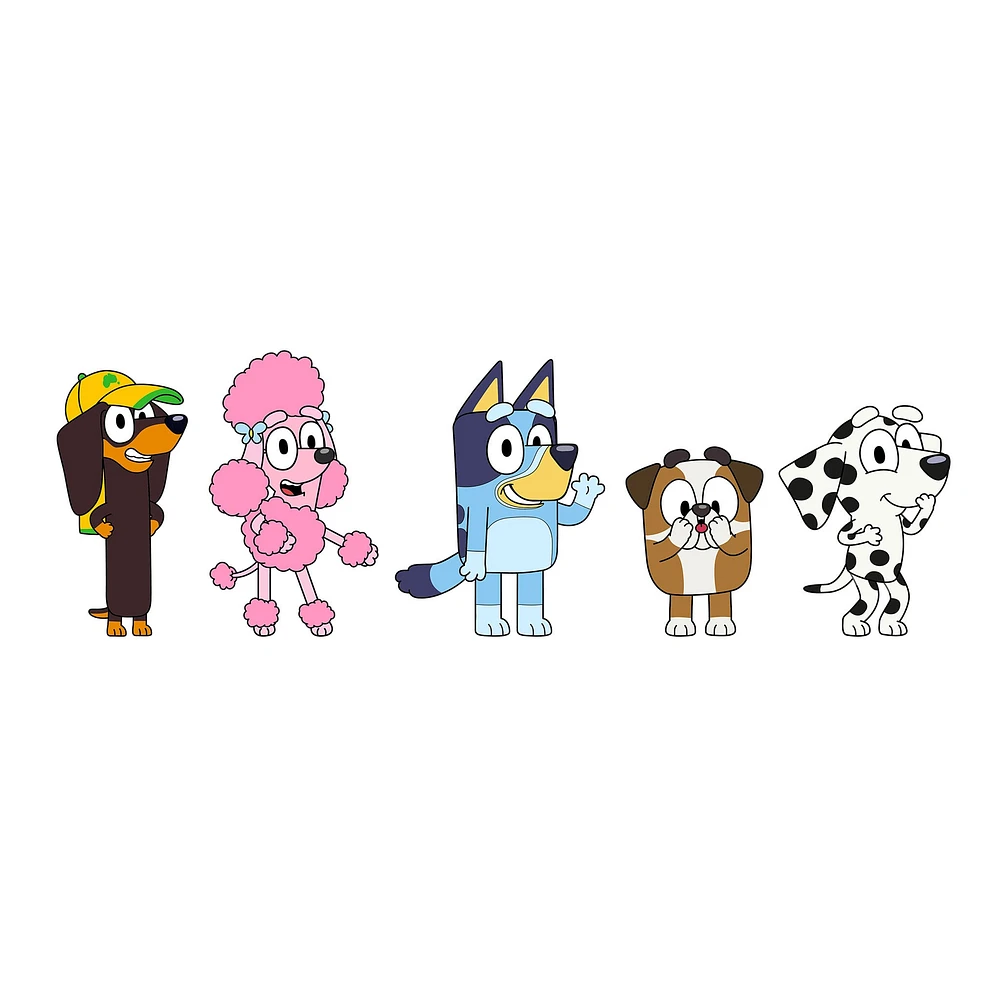 Jibbitz 5-pack