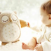 Nighty Night Owl™ Light Smart Sensor