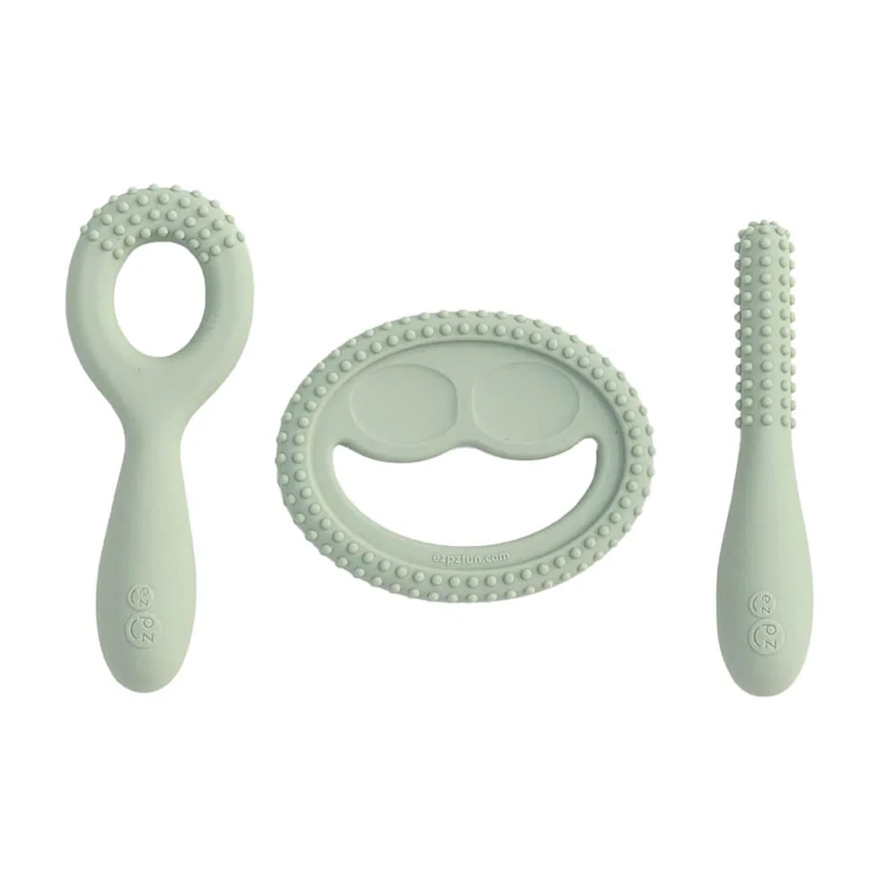 Ensemble Développement de Dentition - Sauge