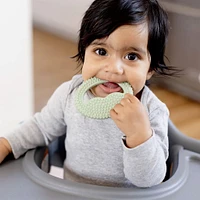 Ensemble Développement de Dentition - Sauge
