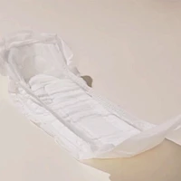 Postpartum Catch-All Pads