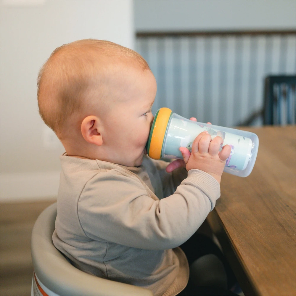 Bluey Insulated Sippy Cup 9oz  2-Pack