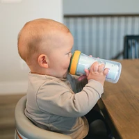 Bluey Insulated Sippy Cup 9oz  2-Pack