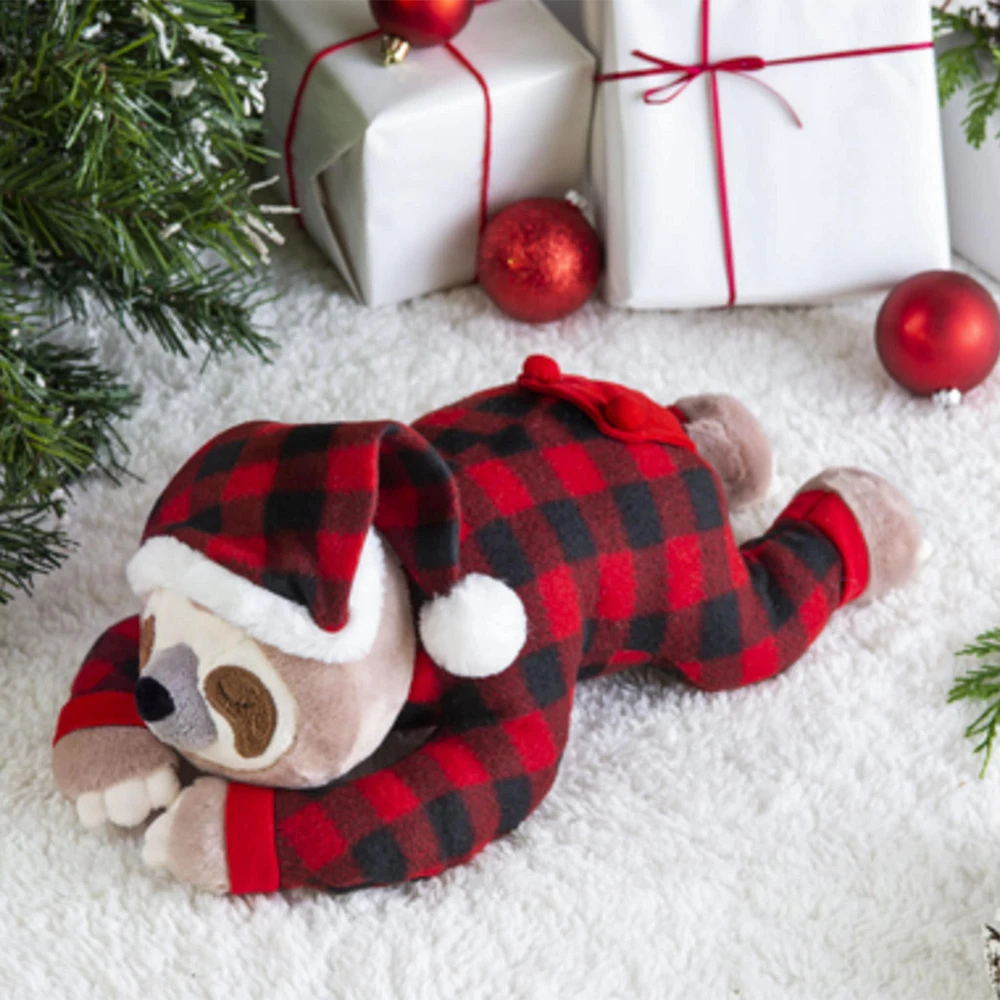 Paresseux En Pyjama Noël