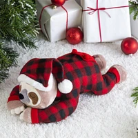 Paresseux En Pyjama Noël