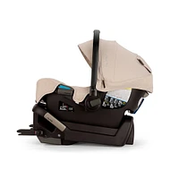 Nuna Pipa Infant Car Seat  - Biscotti Clement Exclusive