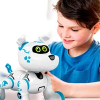 Xtrem Bots Bobby